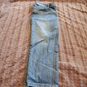 Ann Taylor Loft Capr Jeans